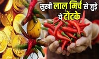 सुखी लाल मिर्च से जुड़े ये जबरदस्त टोटके, जीवन की हर समस्या हो जाएगी दूर